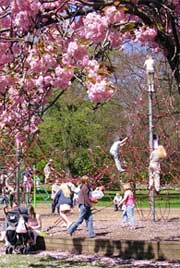 Children climbing rope play tower