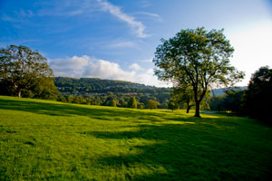 Shibden parkland